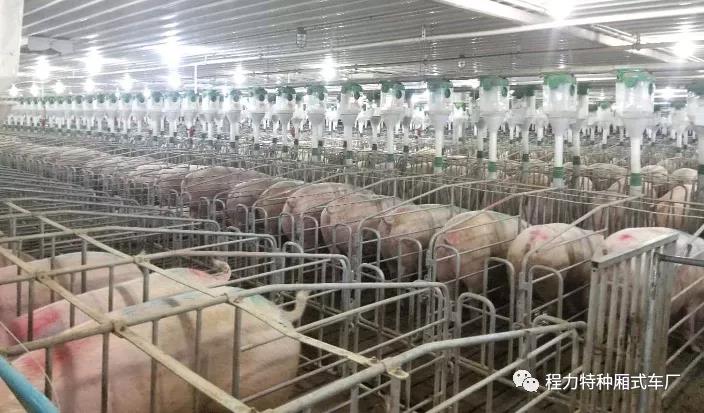 豬價(jià)下降，對(duì)畜牧行業(yè)專用車帶來(lái)什么信號(hào)？